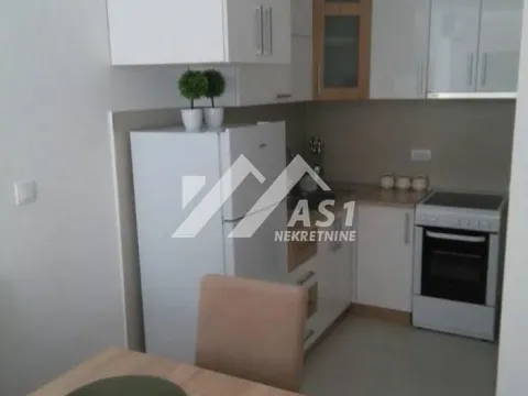 Izdavanje, jednosoban stan, 35m², Rotkvarija, Novi Sad Sve Podlokacije - image 4