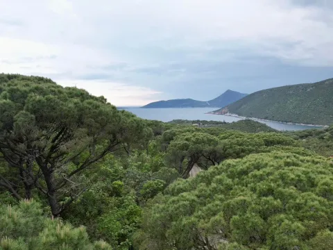 Prodaja, plac, 1046m², Herceg Novi, Crna Gora - image 6