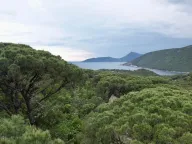 Prodaja, plac, 1046m², Herceg Novi, Crna Gora - image 6