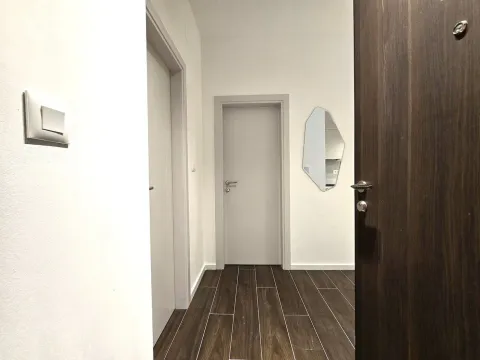 Rent, apartment, 37m², Tološi, Podgorica - image 7