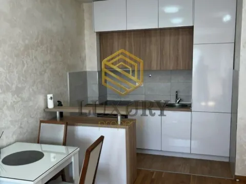 Prodaja, jednosoban stan, 43m², Stari Aerodrom, Podgorica - image 4