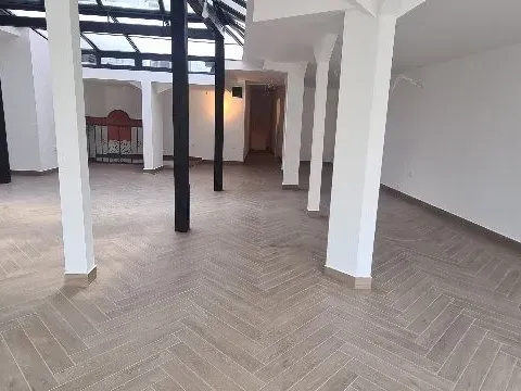 Izdavanje, poslovni prostor, 220m², Stari Grad, Beograd - image 2