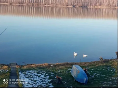 Prodaja, kuća, 64m², Beočin, Novi Sad - image 3