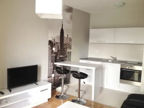 Rent, one bedroom apartment, 30m², Grbavica, Novi Sad Sve Podlokacije - image 3
