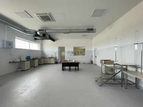 Sale, office space, 1193m², Kać, Novi Sad Sve Podlokacije - image 3