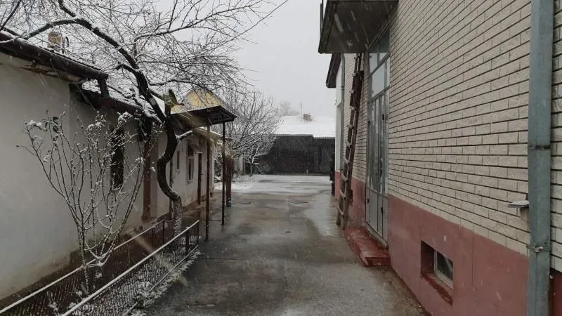 Sale, house, 83m², Telep, Novi Sad Sve Podlokacije
