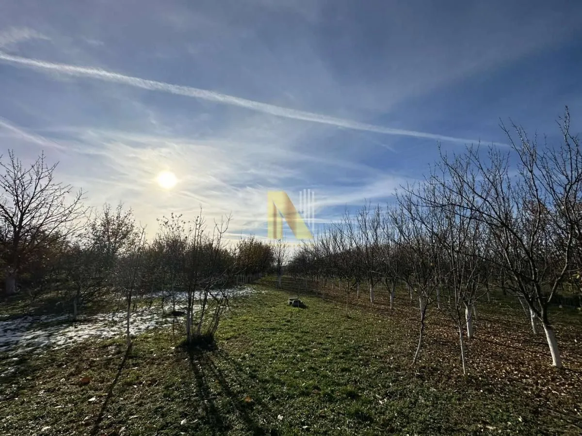 Sale, house, 114m², Kać, Novi Sad Sve Podlokacije