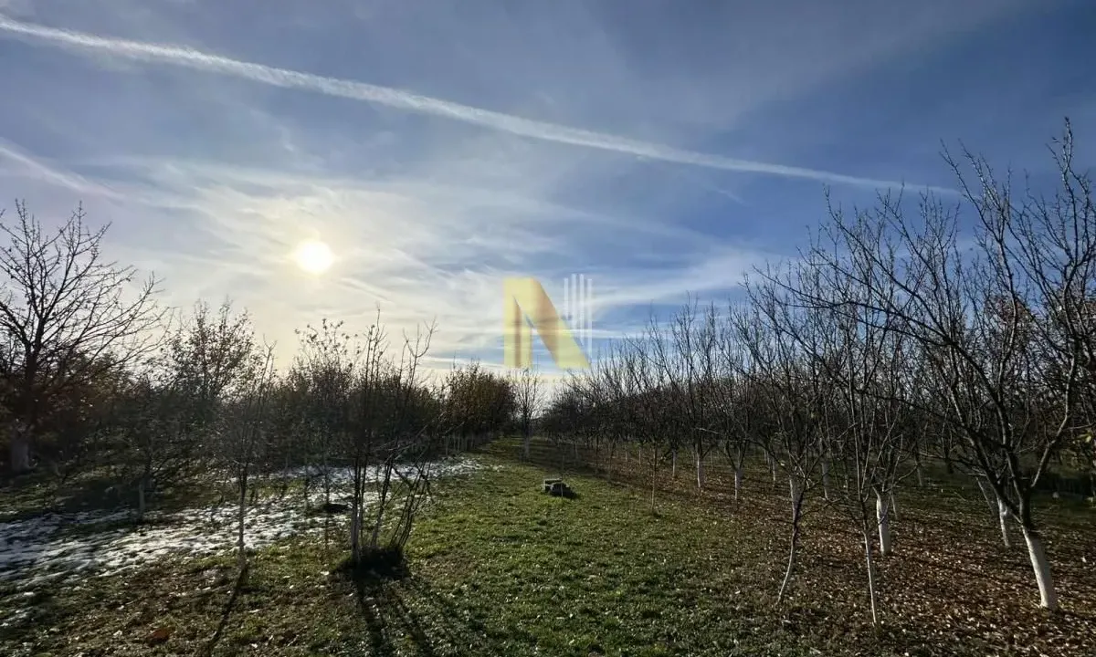 Sale, house, 114m², Kać, Novi Sad Sve Podlokacije