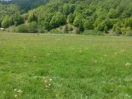 Sale, land lot, 70000m², Veruša, Podgorica - image 8