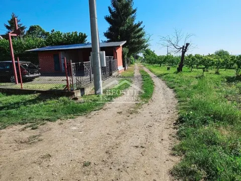 Sale, land lot, 8900m², Grocka, Beograd - image 6