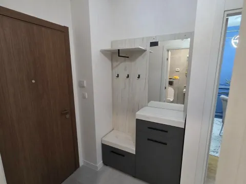 Izdavanje, jednosoban stan, 43m², Zabjelo, Podgorica - image 8