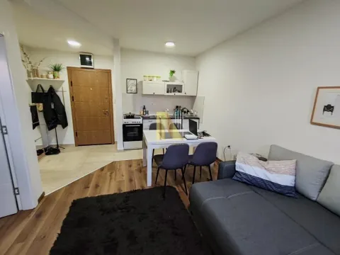 Rent, one bedroom apartment, 32m², Stari Majur, Petrovaradin - image 3