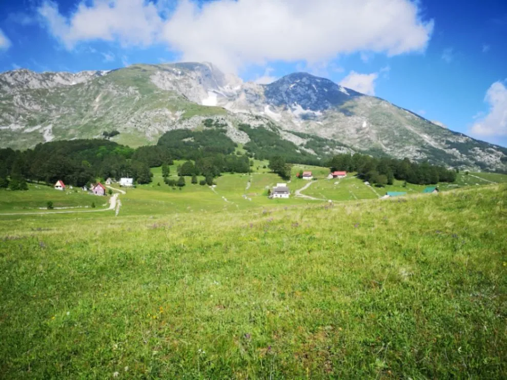 Prodaja, plac, 11500m², Pošćenski Kraj, Žabljak