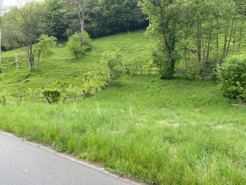 Prodaja, plac, 13789m², Bijelo Polje, Podgorica - image 5