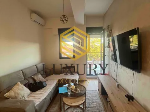 Rent, one bedroom apartment, 40m², Zagorič, Podgorica - image 14