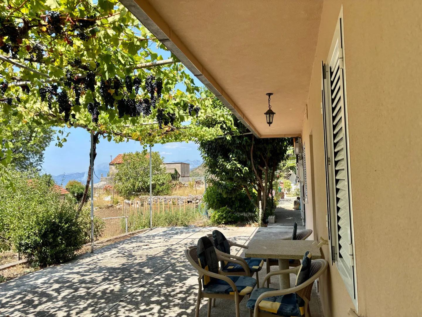 Covered house terrace with seating set and a view of the yard with grapevine.