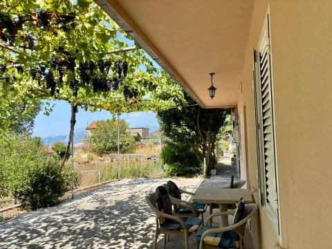 Covered house terrace with seating set and a view of the yard with grapevine. - image 12