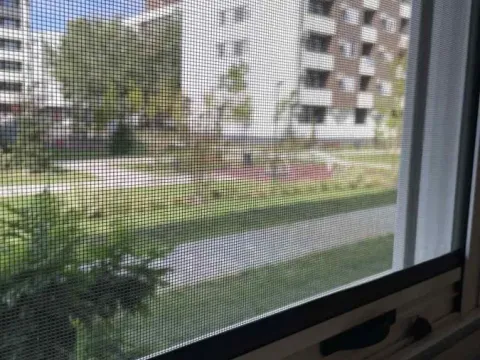 Sale, two bedroom apartment, 41m², Avijatičarsko naselje, Novi Sad Sve Podlokacije - image 19