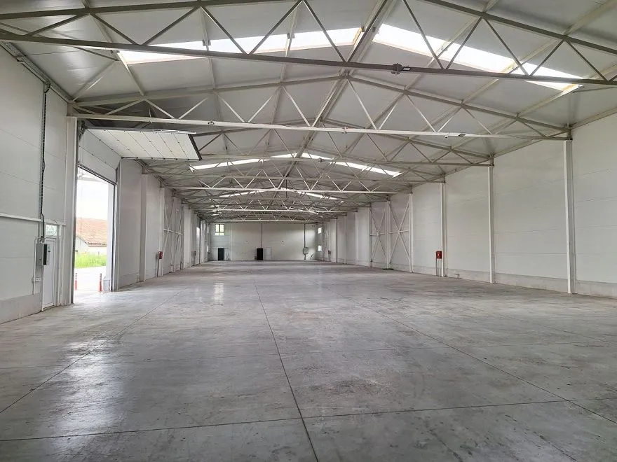 Izdavanje, poslovni prostor, 1500m², Novi Beograd Sve Podlokacije, Beograd