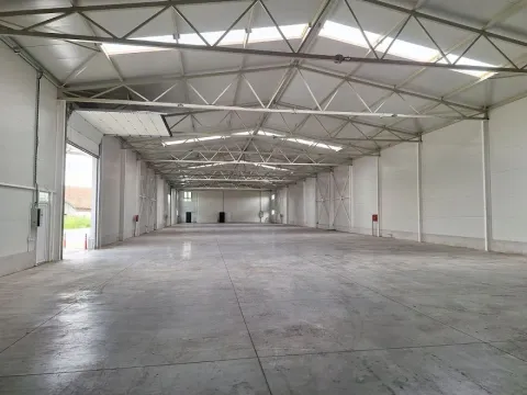 Izdavanje, poslovni prostor, 1500m², Novi Beograd Sve Podlokacije, Beograd