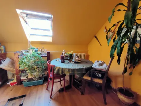 Prodaja, stan, 157m², Podbara, Novi Sad Sve Podlokacije - image 24