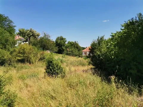 Pogled na zeleno dvorište i okolno rastinje. - image 2
