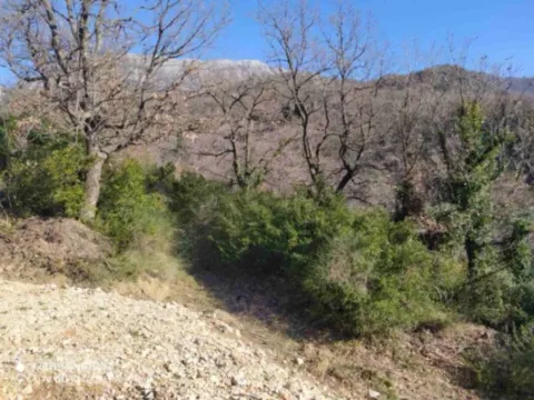 Prodaja, plac, 9890m², Zaljevo, Bar - image 4