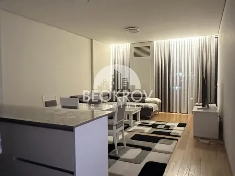 Izdavanje, dvosoban stan, 62m², Savski Venac, Beograd - image 6