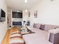 Izdavanje, jednosoban stan, 40m², Central Point, Podgorica - image 6