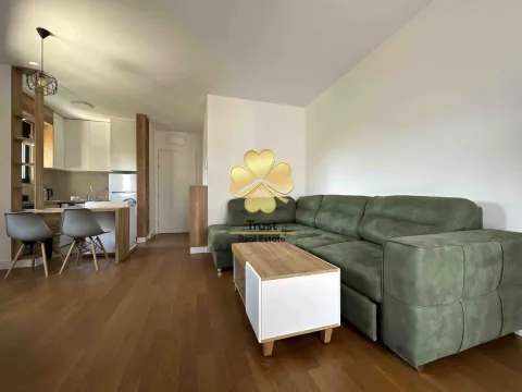 Izdavanje, garsonjera, 30m², Ljubović, Podgorica - image 2