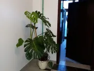 Izdavanje, poslovni prostor, 240m², Lekino Brdo, Voždovac Sve Podlokacije - image 5