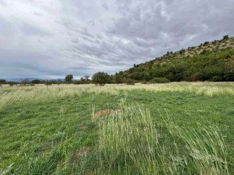 Sale, land lot, 1903m², Zelenika, Podgorica - image 3