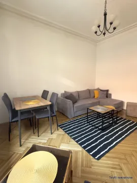 Izdavanje, jednosoban stan, 30m², Cvetni Trg, Vračar Sve Podlokacije - image 3