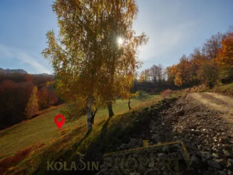 Prodaja, plac, 5000m², Kolašin, Crna Gora - image 4