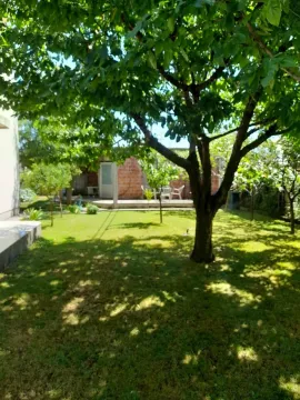 Prostrano zeleno dvorište sa drvećem. - image 3