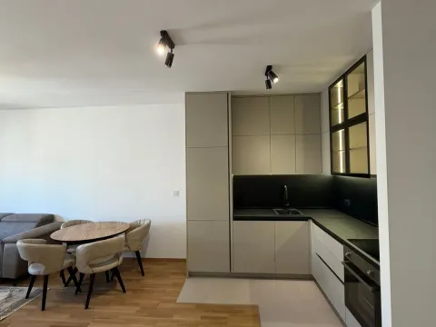 Izdavanje, jednosoban stan, 50m², Stari Aerodrom, Podgorica - image 7