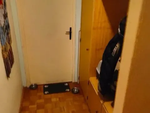 Izdavanje, dvosoban stan, 60m², Novi Beograd Blok 29, Novi Beograd Sve Podlokacije - image 5