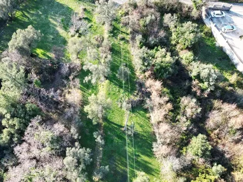 Prodaja, plac, 1650m², Kavač, Kotor - image 2