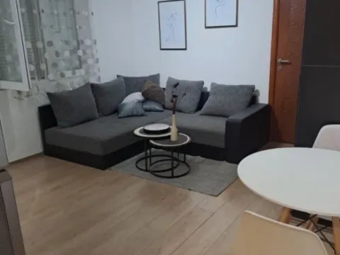 Izdavanje, jednosoban stan, 45m², Centar, Podgorica - image 5