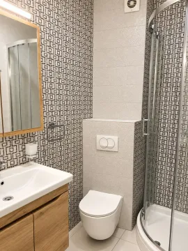 Modernly equipped bathroom with a shower cabin, washbasin, and toilet. - image 11