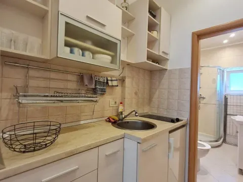 Izdavanje, jednosoban stan, 25m², Vračar, Šid - image 10