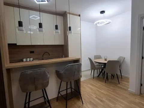 Izdavanje, jednosoban stan, 70m², Stari Aerodrom, Podgorica - image 3