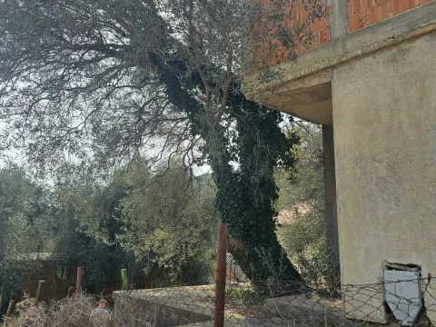 Prodaja, kuća, 74m², Šušanj, Bar - image 6