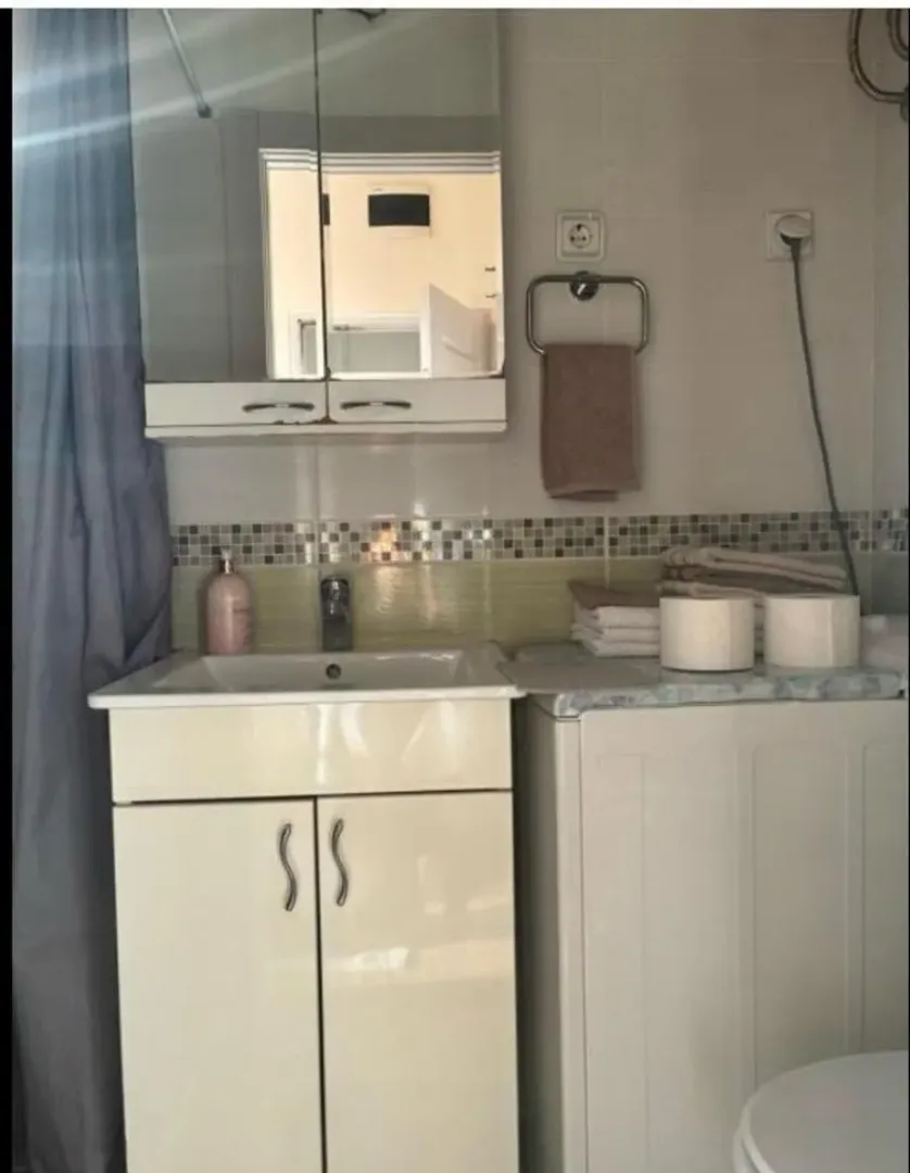 Rent, one bedroom apartment, 15m², Dorćol Sve Podlokacije, Beograd