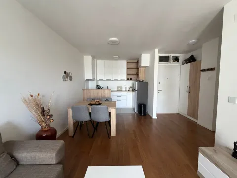 Rent, two bedroom apartment, 46m², Višnjička Banja, Palilula Sve Podlokacije - image 2