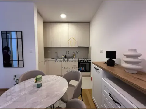 Izdavanje, jednosoban stan, 45m², Podgorica, Crna Gora - image 11