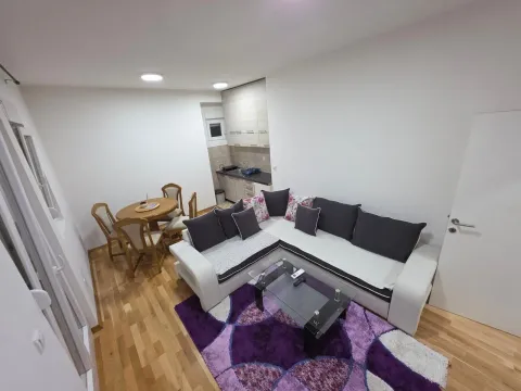 Izdavanje, jednosoban stan, 52m², Zabjelo, Podgorica - image 5