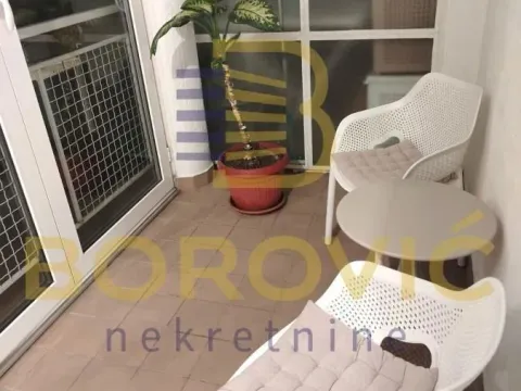 Izdavanje, jednosoban stan, 45m², Savski Venac, Beograd - image 10