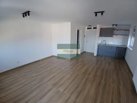 Izdavanje, garsonjera, 36m², Centar, Jagodina - image 1