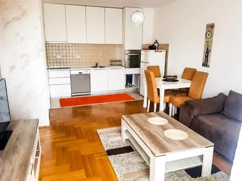 Izdavanje, jednosoban stan, 50m², Stari Aerodrom, Podgorica - image 3